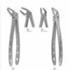 Extracting Forceps '' English Pattren''
