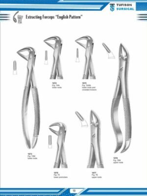 Extracting Forceps '' English Pattren''