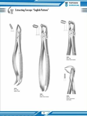 Extracting Forceps '' English Pattren''