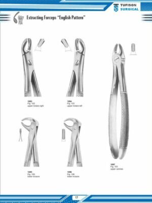 Extracting Forceps '' English Pattren''