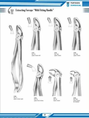 Extracting Forceps ”with fitingHandle”