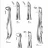 Extracting Forceps ”with fittingHandle”