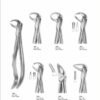 Extracting Forceps ”with fittingHandle”