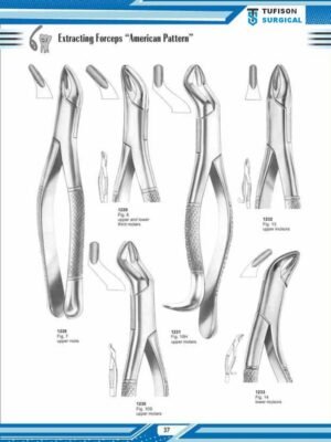 Extracting Forceps ”American Pattern”