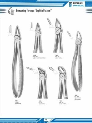 Extracting Forceps '' English Pattren''